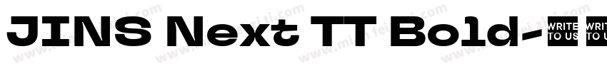 JINS Next TT Bold字体转换